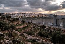 Concrete separation wall and military watchtower bordering terraced olive groves and a dense settlement