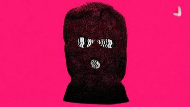 The illustration depicts a face covered by a knitted beanie, with the eyes and mouth distorted by digital glitches resembling computer screens