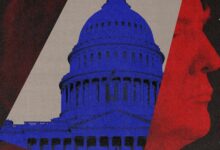 Political developments in the United States, partisan competition, and the potential consequences of a shift in the balance of power in Congress during Donald Trump’s presidency