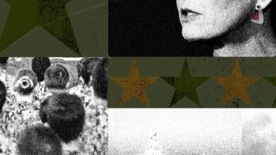 A visual collage featuring Jen Kiggans and Elaine Luria, naval warships in the Strait of Hormuz, Marines at a naval air station, and smoke rising from buildings in Iran. The image illustrates the impact of the Iran war on the U.S. electoral contest